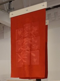 5- Textiel geverfd met meekrap tentoonstelling Kleurstof