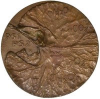 Medaille Duysens.jpg